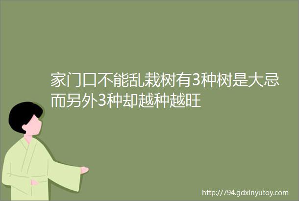 家门口不能乱栽树有3种树是大忌而另外3种却越种越旺