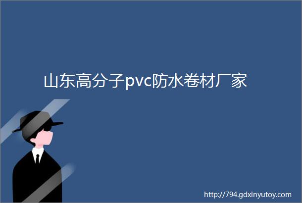 山东高分子pvc防水卷材厂家