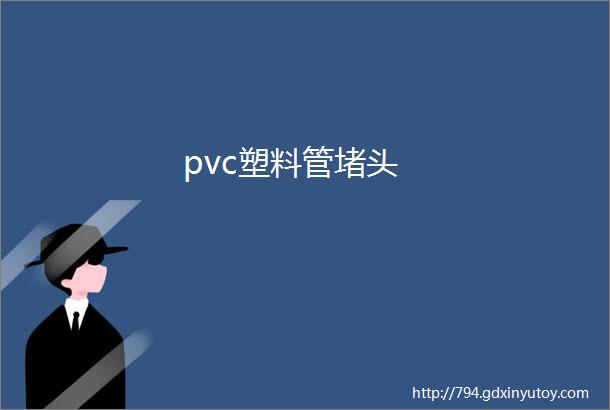 pvc塑料管堵头