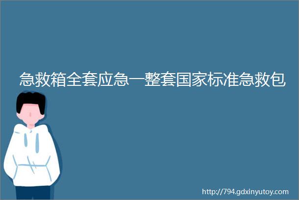 急救箱全套应急一整套国家标准急救包