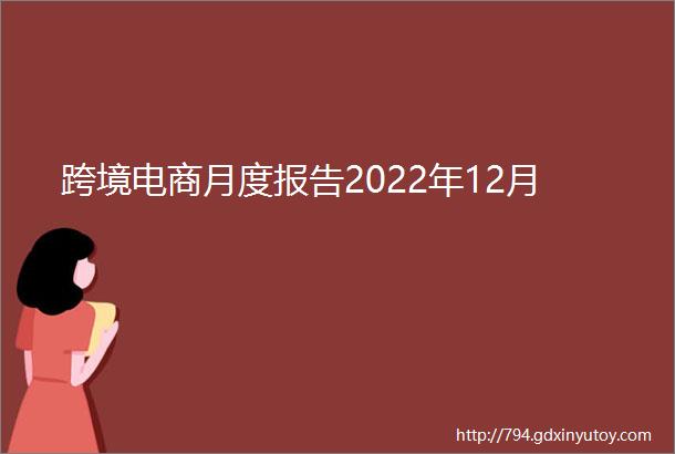 跨境电商月度报告2022年12月